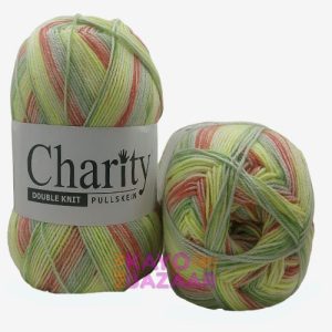 Charity dk 300g 639 alligator alley