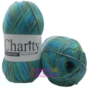 Charity dk 300g 636 backyard jungle