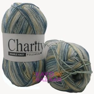 Charity dk 300g 637 arizona road