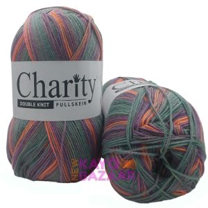 Charity dk 300g 648 big bang