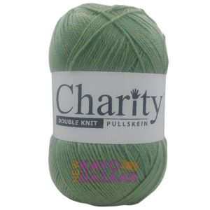Charity DK 300g 716 avocado