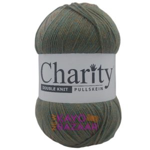 Charity DK 300g 757 clay