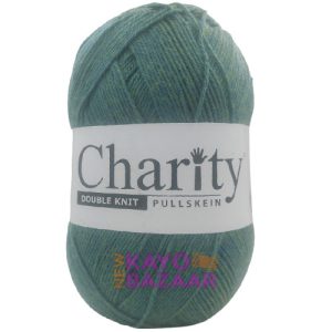 Charity DK 300g 758 marsh